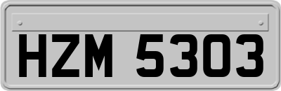 HZM5303