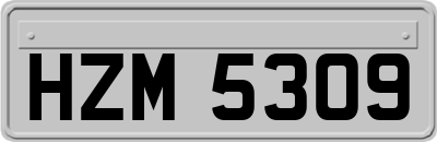 HZM5309