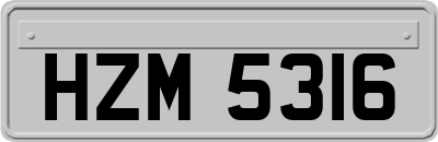 HZM5316
