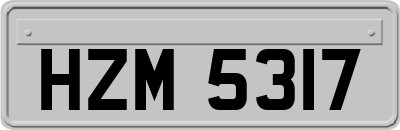 HZM5317