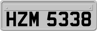 HZM5338