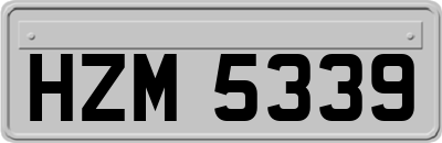 HZM5339