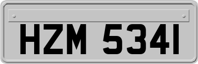 HZM5341