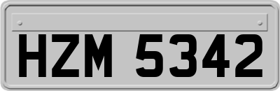 HZM5342