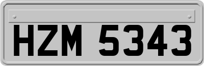 HZM5343