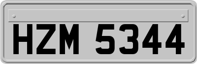 HZM5344