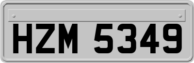 HZM5349