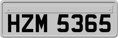 HZM5365
