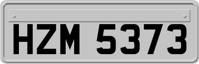 HZM5373