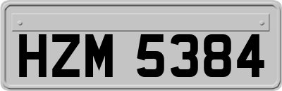 HZM5384