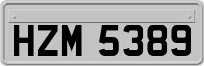 HZM5389