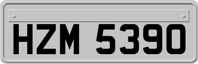 HZM5390