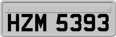HZM5393