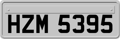 HZM5395