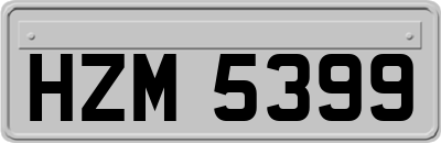 HZM5399