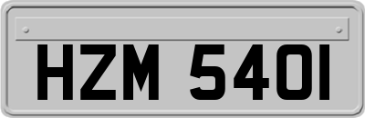 HZM5401