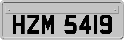 HZM5419