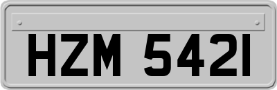 HZM5421