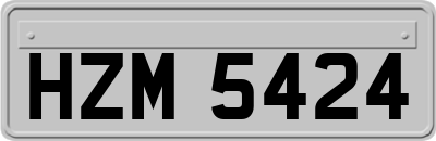 HZM5424
