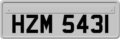 HZM5431