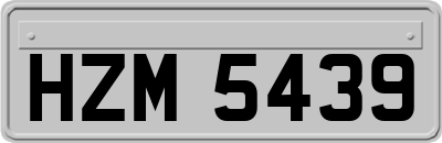 HZM5439