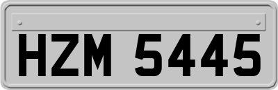HZM5445