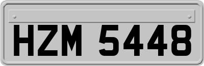 HZM5448