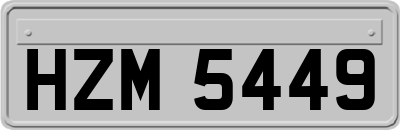 HZM5449