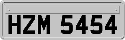 HZM5454