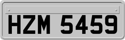 HZM5459