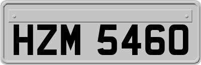 HZM5460