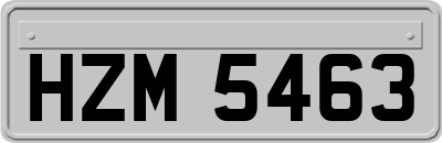 HZM5463