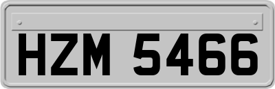 HZM5466