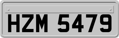 HZM5479