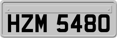 HZM5480