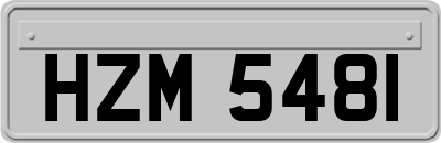 HZM5481