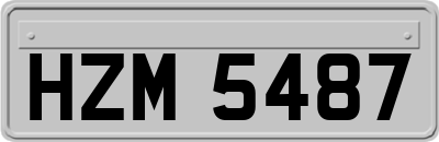 HZM5487