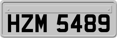 HZM5489