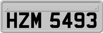 HZM5493