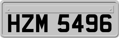 HZM5496