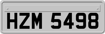 HZM5498