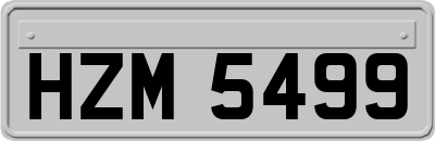 HZM5499