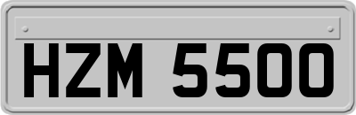 HZM5500