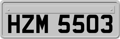 HZM5503