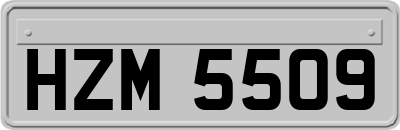 HZM5509