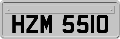 HZM5510