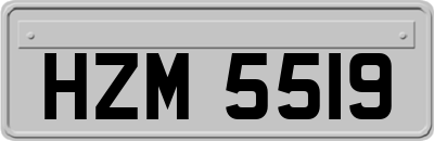 HZM5519