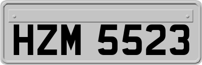 HZM5523