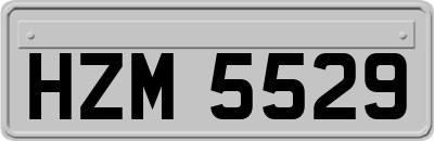 HZM5529