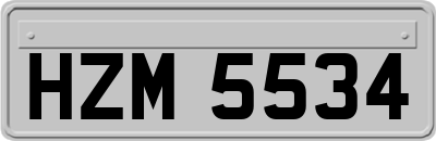 HZM5534